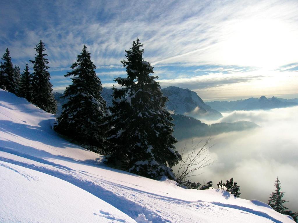 Krosbacher Hof Seefeld in Tirol Exteriör bild